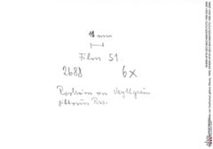 Historisches Foto (Rückseite) von Oxythyreus gibbus (Reuss, 1858) (NHMW-AFW-GEO-BACHMAYER-FOTO-1990-0041-2688)